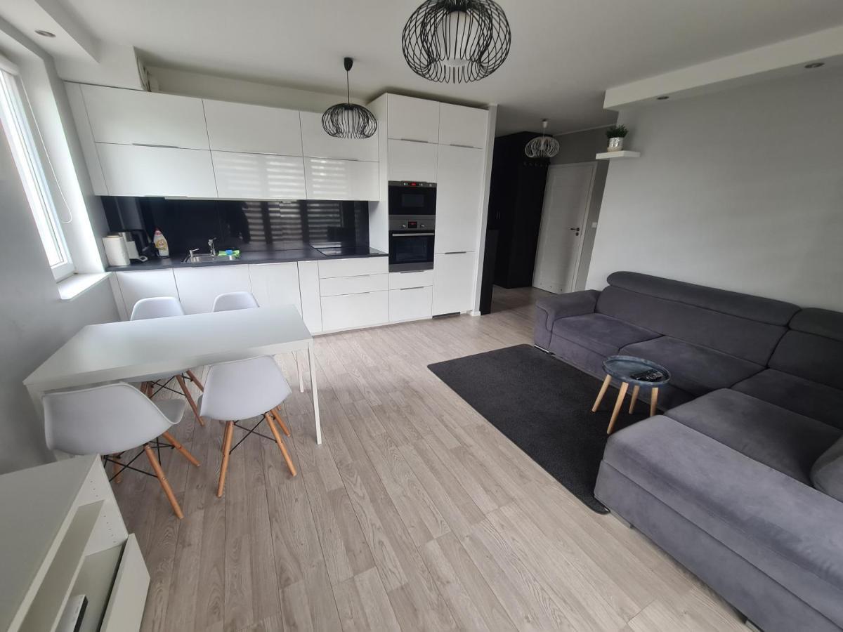 Apartament Rodzinny Z Ogrodkiem Γκντανσκ Εξωτερικό φωτογραφία